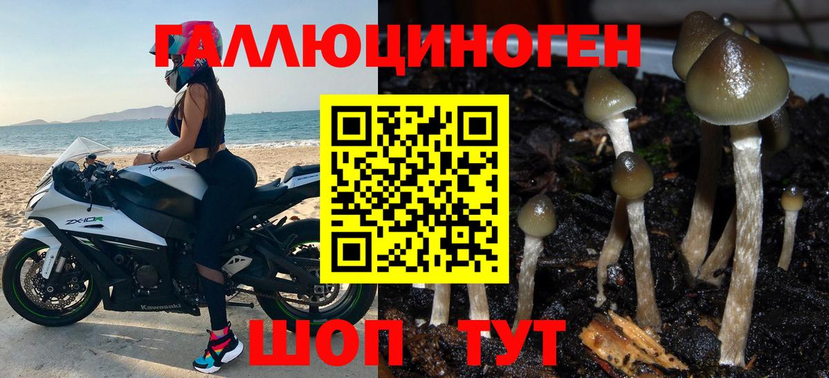 Галлюциногенные грибы Psilocybine cubensis  Галлюциногенные грибы Psilocybe  Вход с VPN  Мытищи 