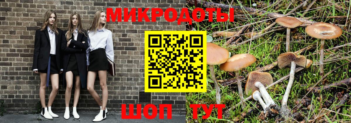 Галлюциногенные грибы GOLDEN TEACHER Мытищи